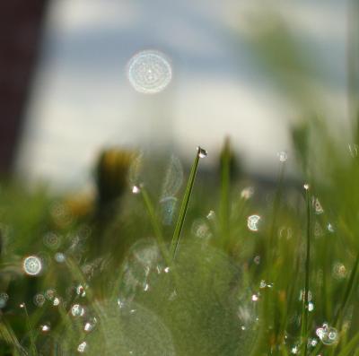 Прикрепленное изображение: изображение_viber_2022-03-22_11-57-05-531.jpg